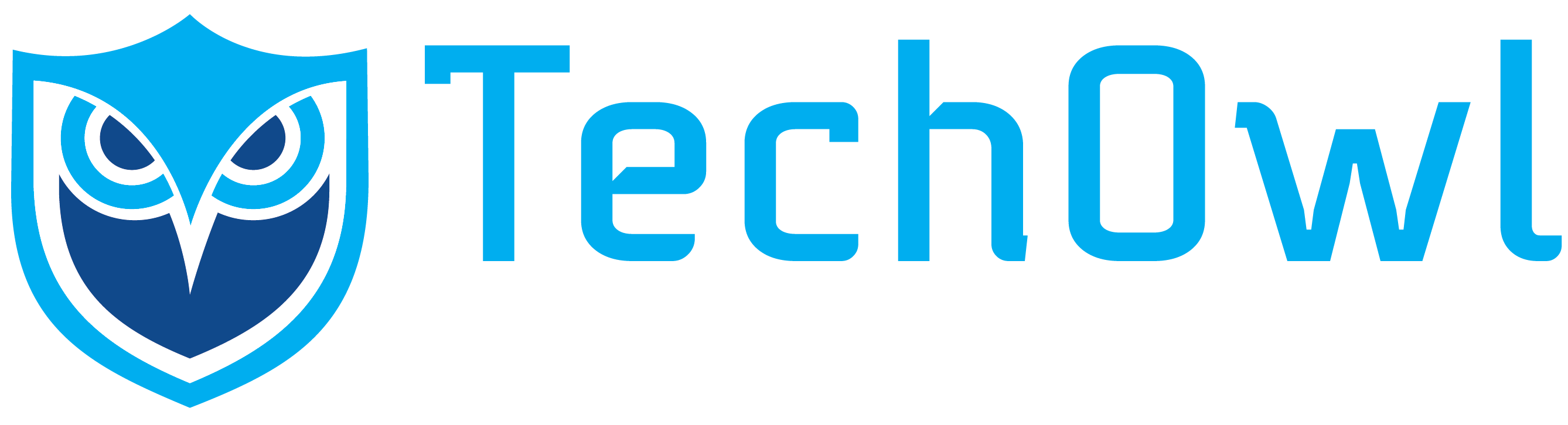 TechOwl Simulens